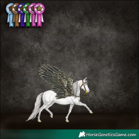 Horse Color:Smoky Creme Sabino 