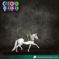 Horse Color:Smoky Creme Sabino 