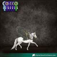 Horse Color:Smoky Creme Sabino 