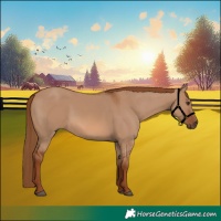 Horse Color:Red Dun 