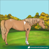 Horse Color:Chestnut Tobiano Varnish 