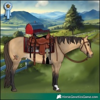 Horse Color:Buckskin Dun 