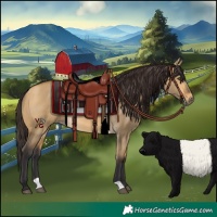 Horse Color:Buckskin Dun