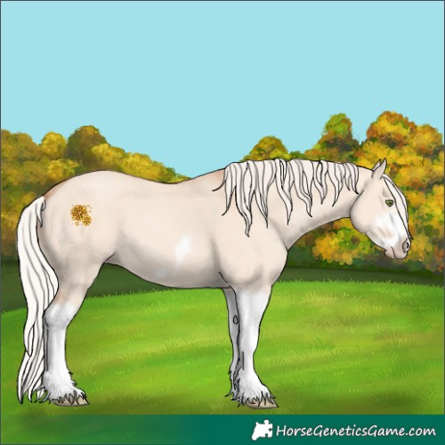 Horse Color:Silver Classic Champagne Dun Splash Frame 