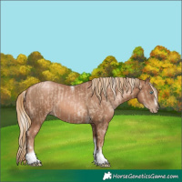 Horse Color:Chocolate Palomino Pearl Tobiano Frame and Liver Chestnut Pearl Tobiano Frame