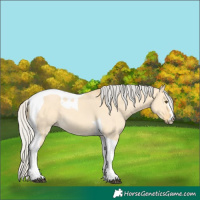 Horse Color:Silver Buckskin Dun Tobiano