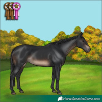 Horse Color:Brown 