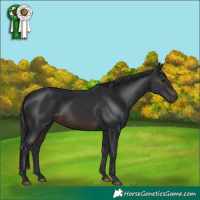 Horse Color:Brown 