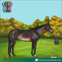 Horse Color:Brown 