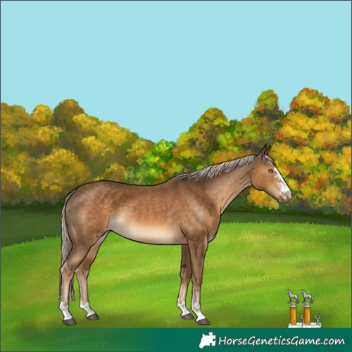 Horse Color:Chocolate Palomino
