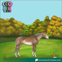 Horse Color:Silver Buckskin 