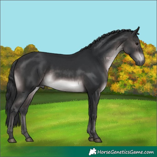 Horse Color:Platinum Brown