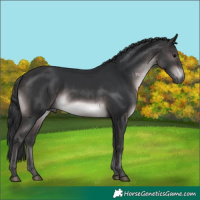 Horse Color:Platinum Brown 