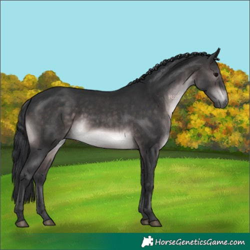 Horse Color:Platinum Brown 