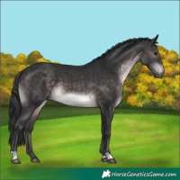 Horse Color:Platinum Brown 