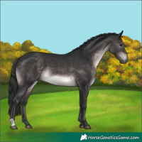 Horse Color:Platinum Brown 