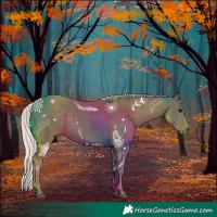 Horse Color:Silver Black 