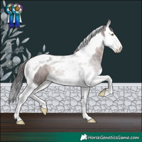 Horse Color:Brown Splash Tobiano Rabicano