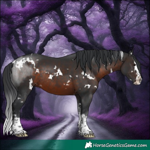 Horse Color:White Spotted Brown Splash Rabicano 