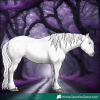 Horse Color:Gray Silver Bay Roan Tobiano Rabicano 