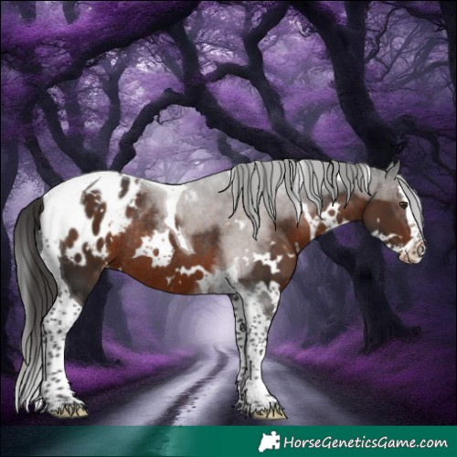 Horse Color:White Spotted Liver Chestnut Splash Tobiano Blanket Rabicano 
