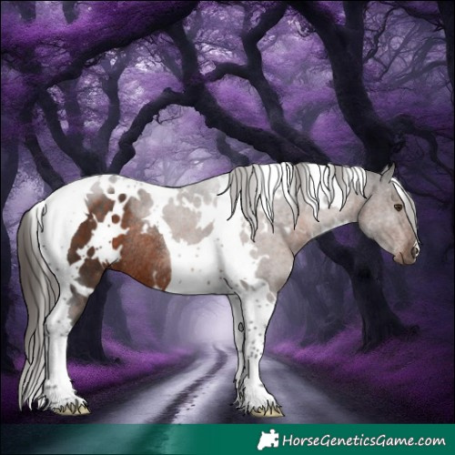 Horse Color:White Spotted Liver Chestnut Tobiano Rabicano