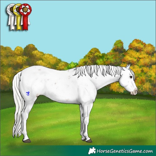 Horse Color:Silver Brown Sabino 