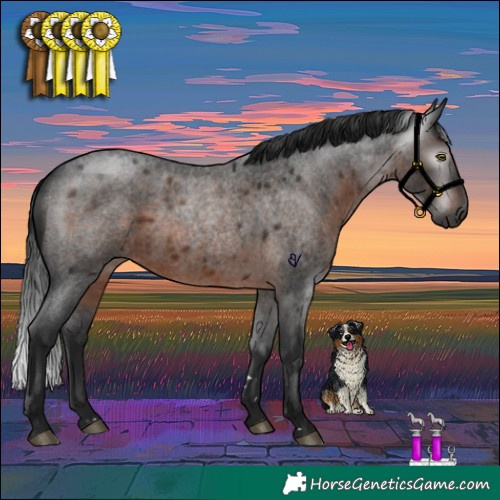 Horse Color:Gray Brown Roan Rabicano