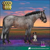 Horse Color:Gray Brown Roan Rabicano 