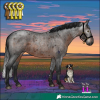 Horse Color:Gray Brown Roan Rabicano 