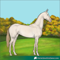 Horse Color:Perlino Dun 