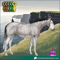 Horse Color:Gray Brown Roan Splash Rabicano 