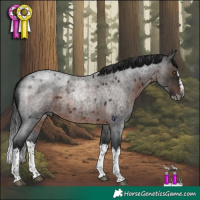 Horse Color:Gray Brown Roan Splash Rabicano 