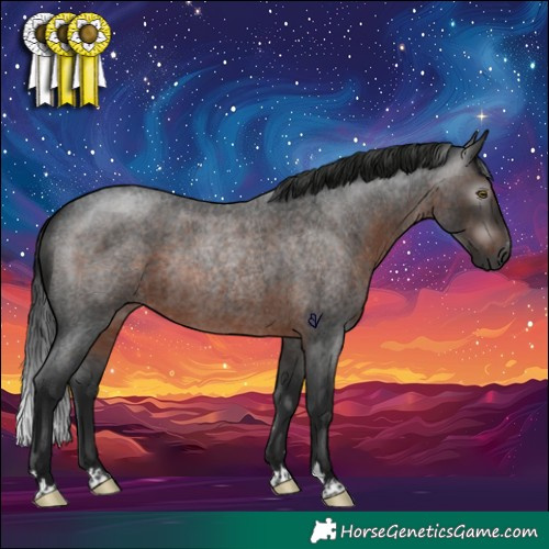 Horse Color:Gray Brown Roan Rabicano 