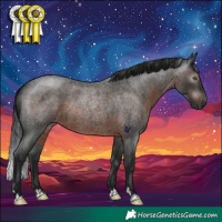 Horse Color:Gray Brown Roan Rabicano 