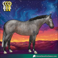 Horse Color:Gray Brown Roan Rabicano 