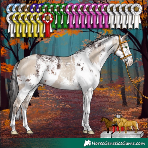 Horse Color:White Spotted Classic Champagne Dun  and White Spotted Brown Sabino 