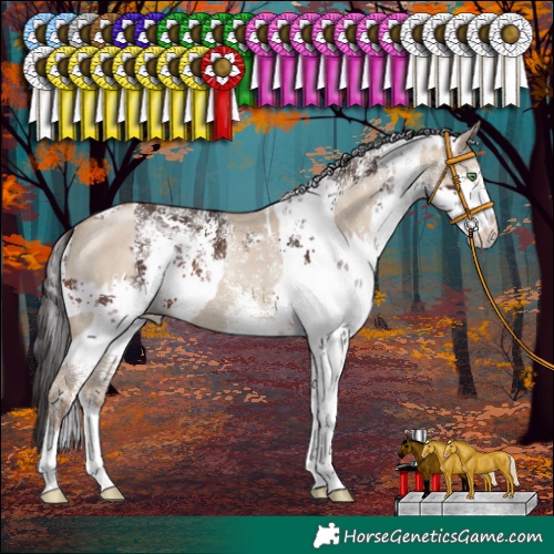 Horse Color:White Spotted Classic Champagne Dun  and White Spotted Brown Sabino 