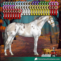 Horse Color:White Spotted Classic Champagne Dun and White Spotted Brown Sabino