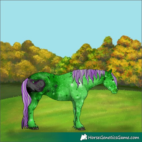 Horse Color:ERROR: UNKNOWN ANOMALY