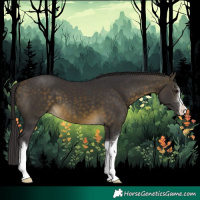 Horse Color:White Spotted Buckskin 