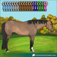 Horse Color:Brown Dun