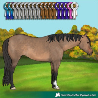 Horse Color:Brown Dun