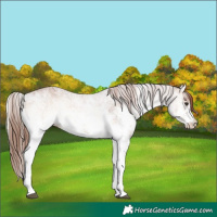 Horse Color:White Spotted Red Onyx 
