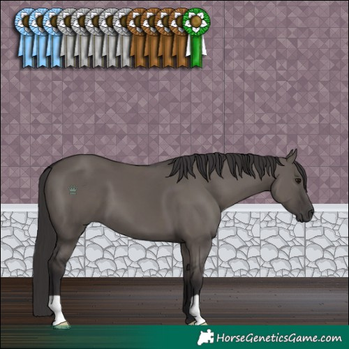 Horse Color:Smoky Grullo 
