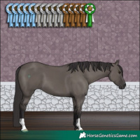 Horse Color:Smoky Grullo 