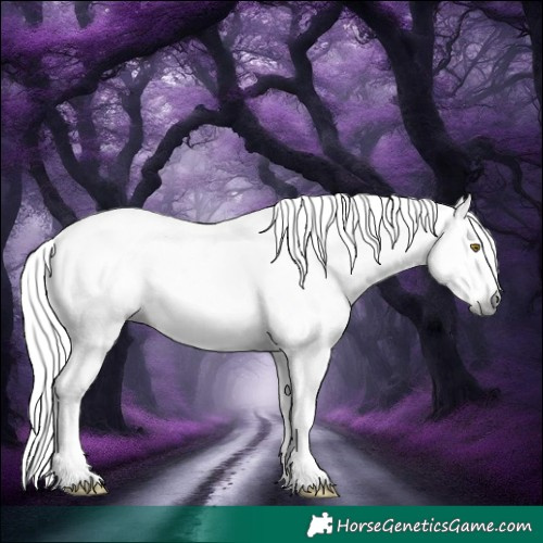 Horse Color:Gray White Spotted Silver Brown Roan Splash Rabicano 