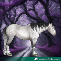 Horse Color:Gray Brown Roan Splash Rabicano