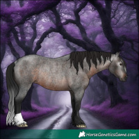Horse Color:Gray Brown Roan Rabicano