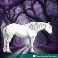 Horse Color:Gray Brown Roan Splash Tobiano Rabicano